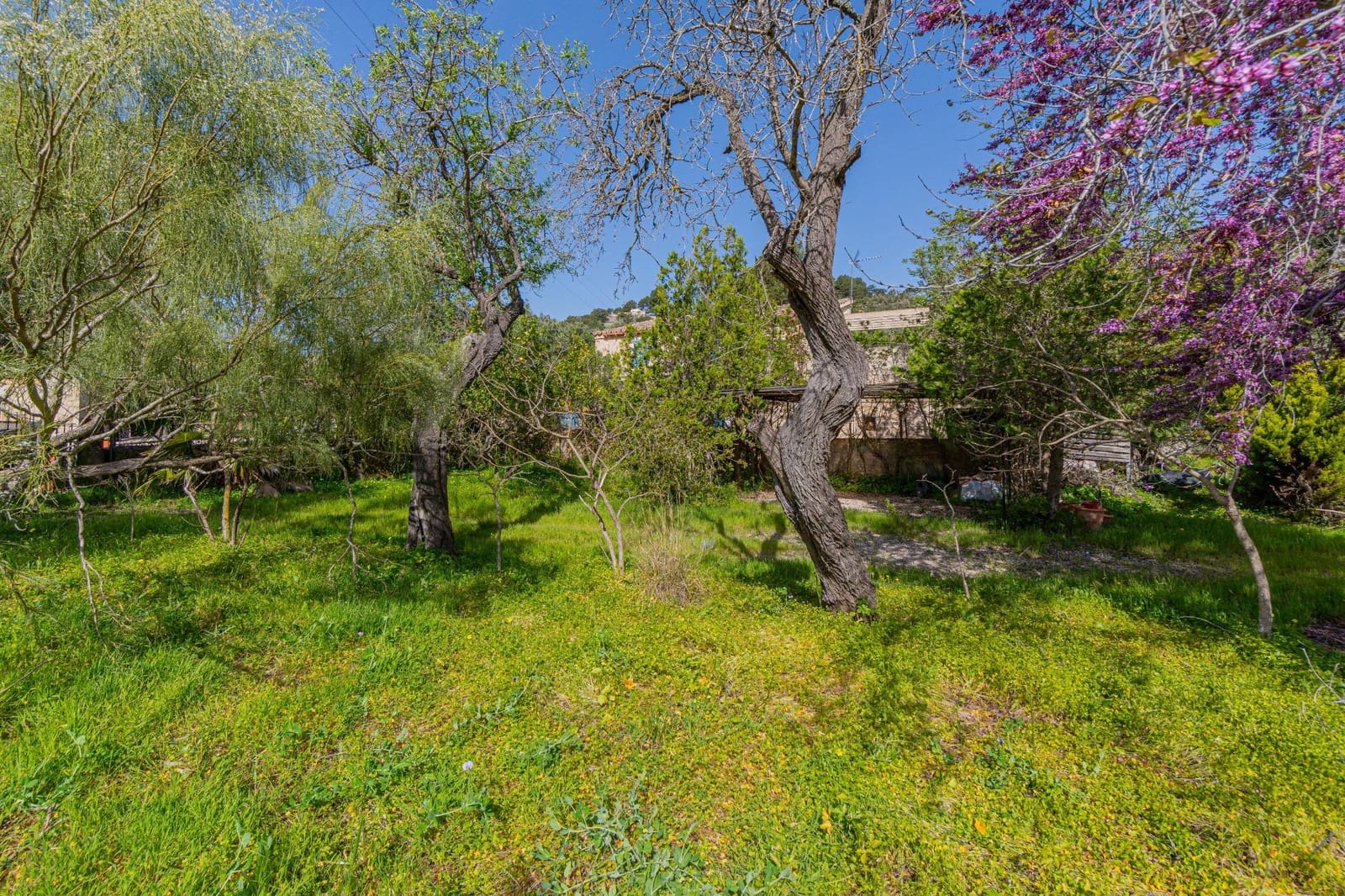 3 camera da letto Casa in vendita in Galilea - 1.090.000 € (Rif: 9762030)