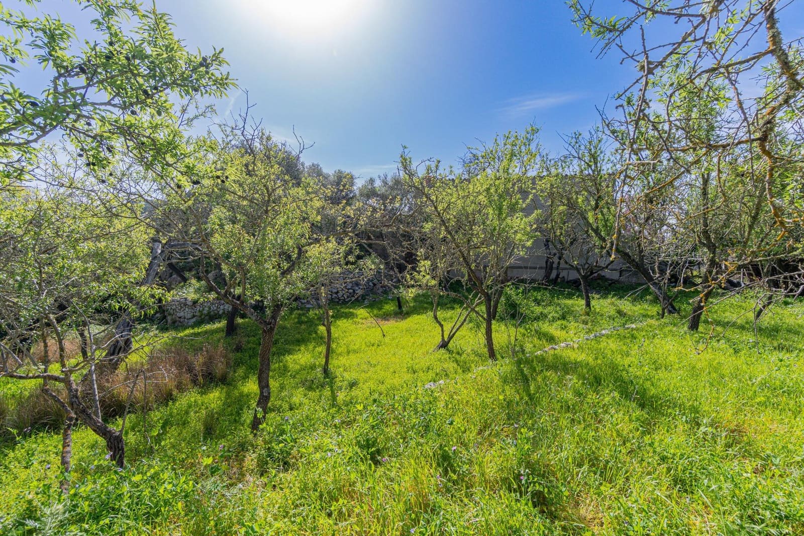 3 camera da letto Casa in vendita in Galilea - 1.090.000 € (Rif: 9762030)