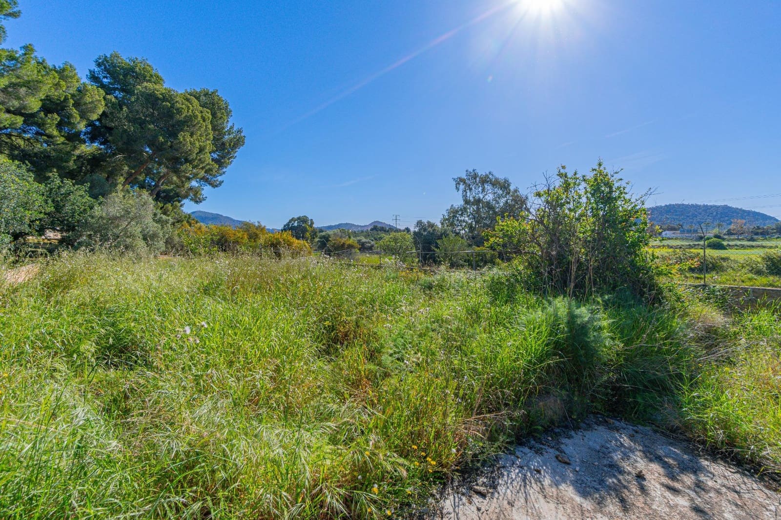 Byggegrund til salg i Santa Ponsa - € 1.290.000 (Ref: 9780600)