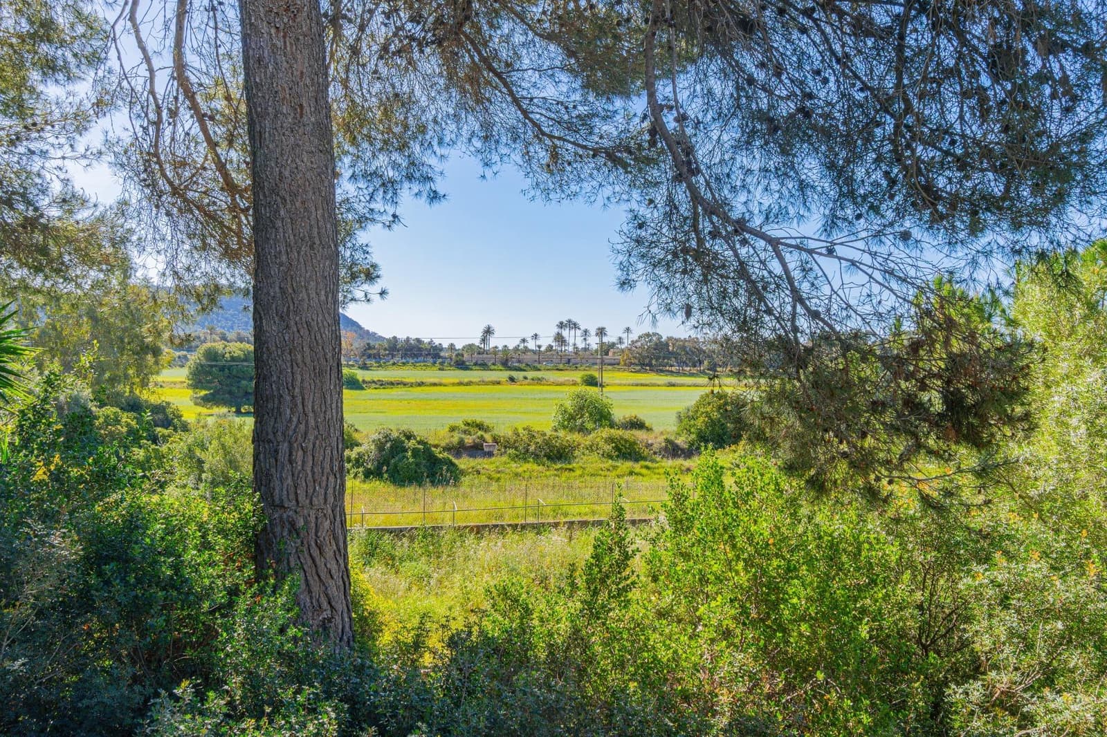 Byggegrund til salg i Santa Ponsa - € 1.290.000 (Ref: 9780600)