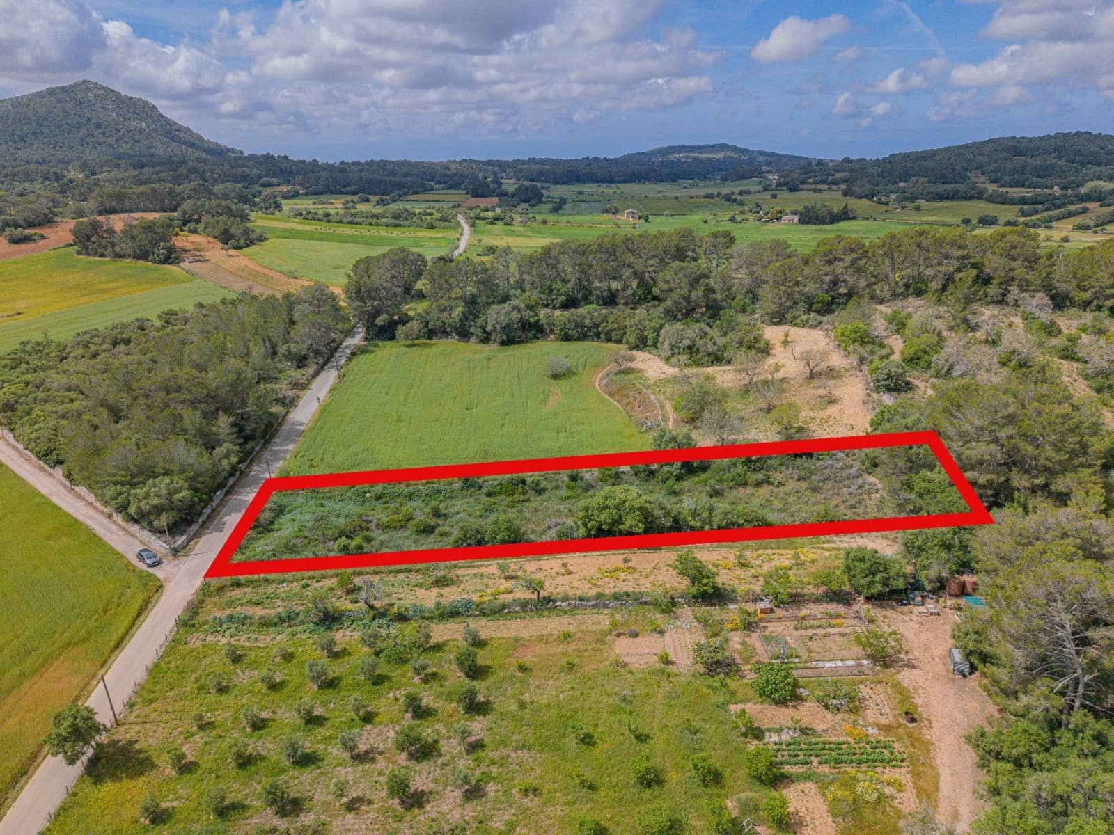Terre non Aménagée à vendre à Algaida - 19 000 € (Ref: 9825287)