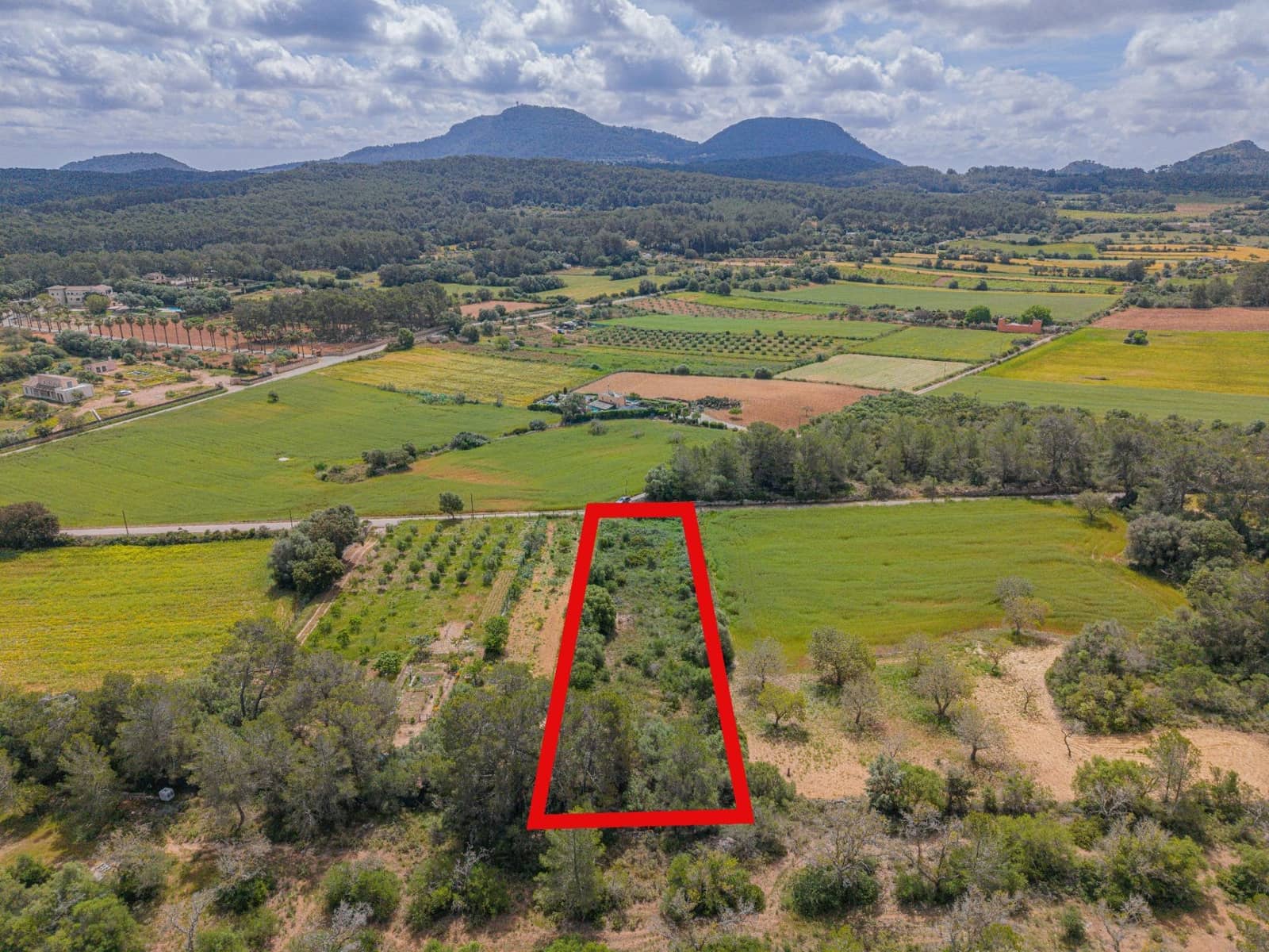 Terre non Aménagée à vendre à Algaida - 19 000 € (Ref: 9825287)