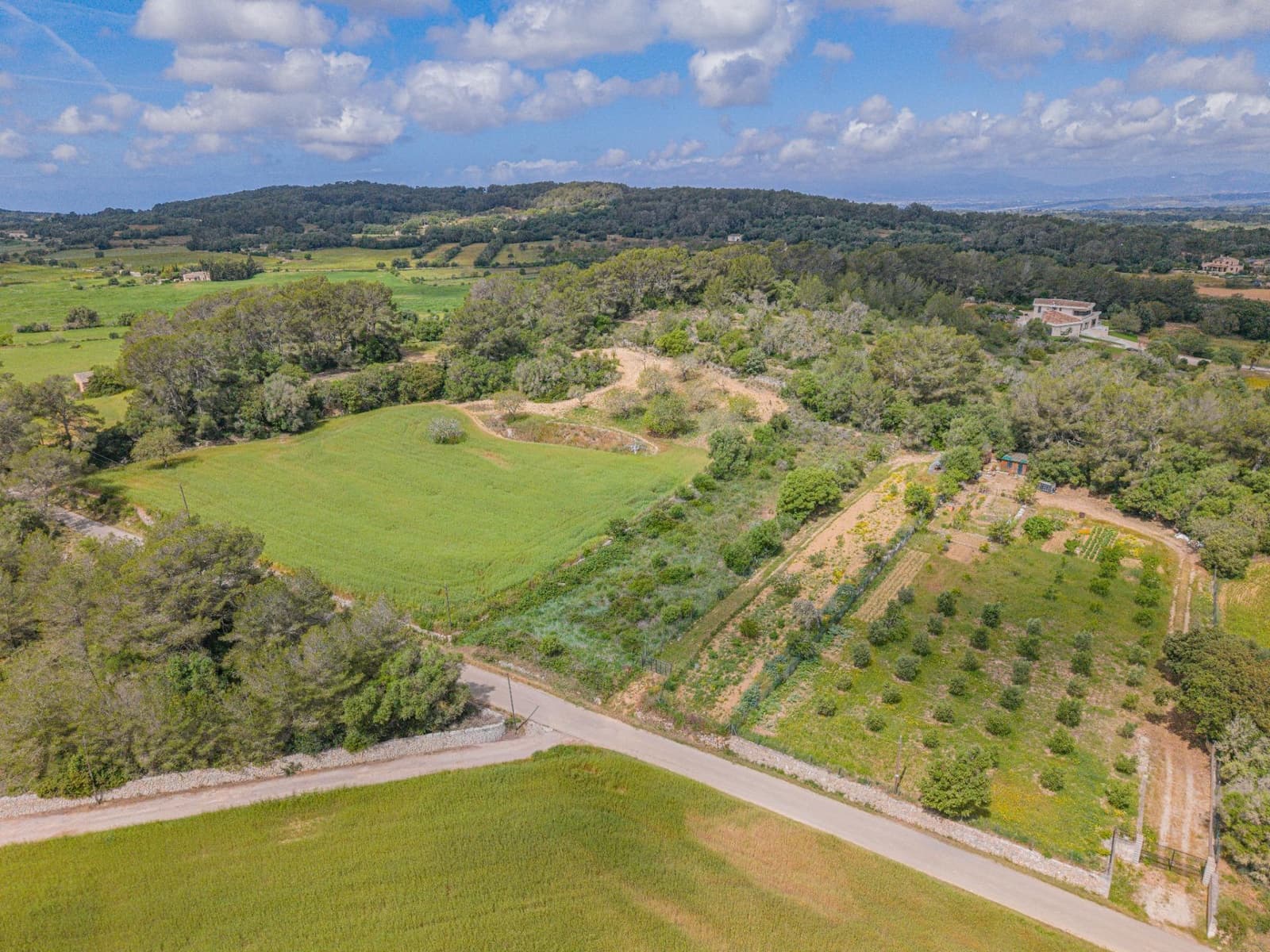 Terre non Aménagée à vendre à Algaida - 19 000 € (Ref: 9825287)