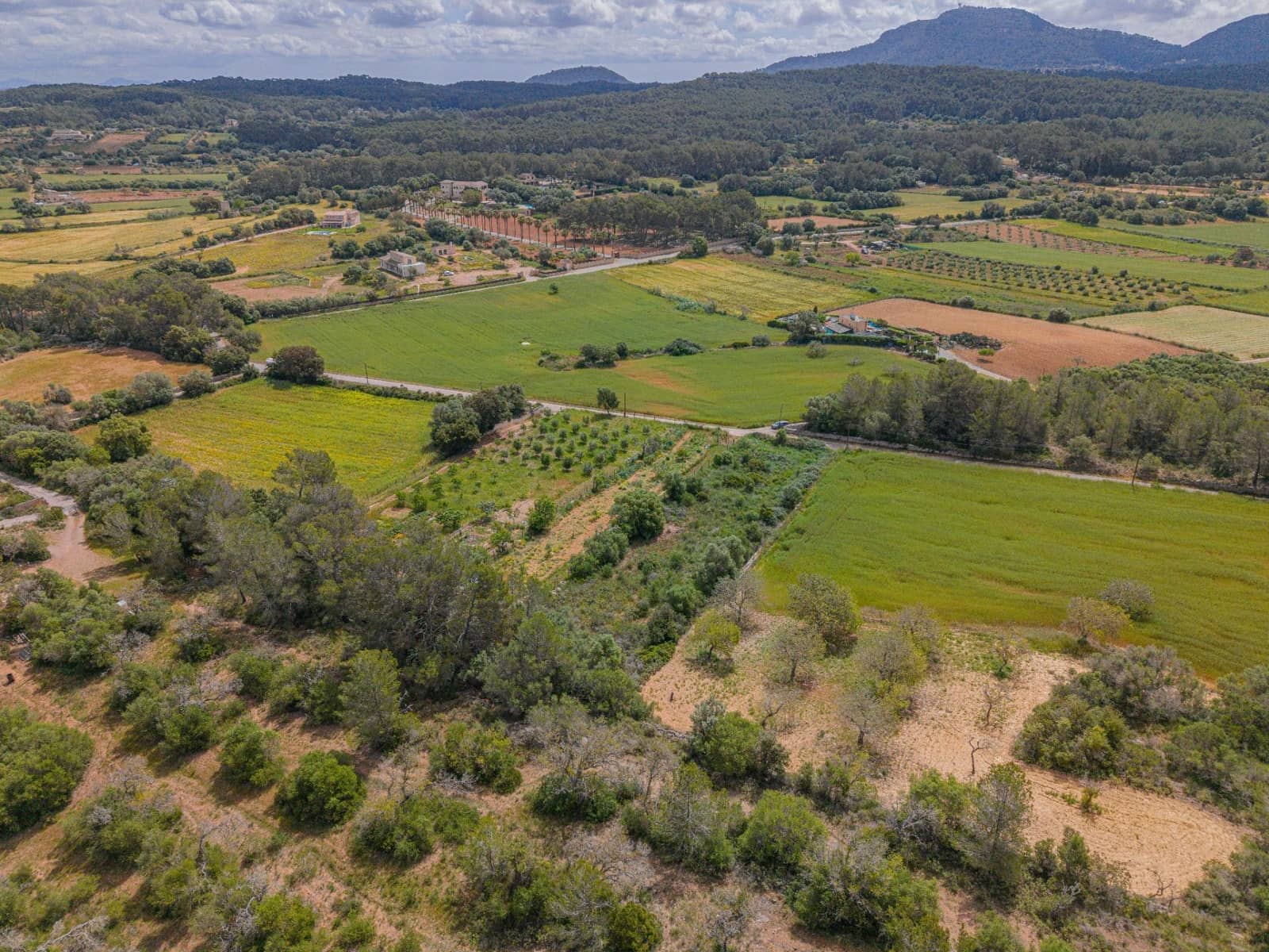 Terre non Aménagée à vendre à Algaida - 19 000 € (Ref: 9825287)