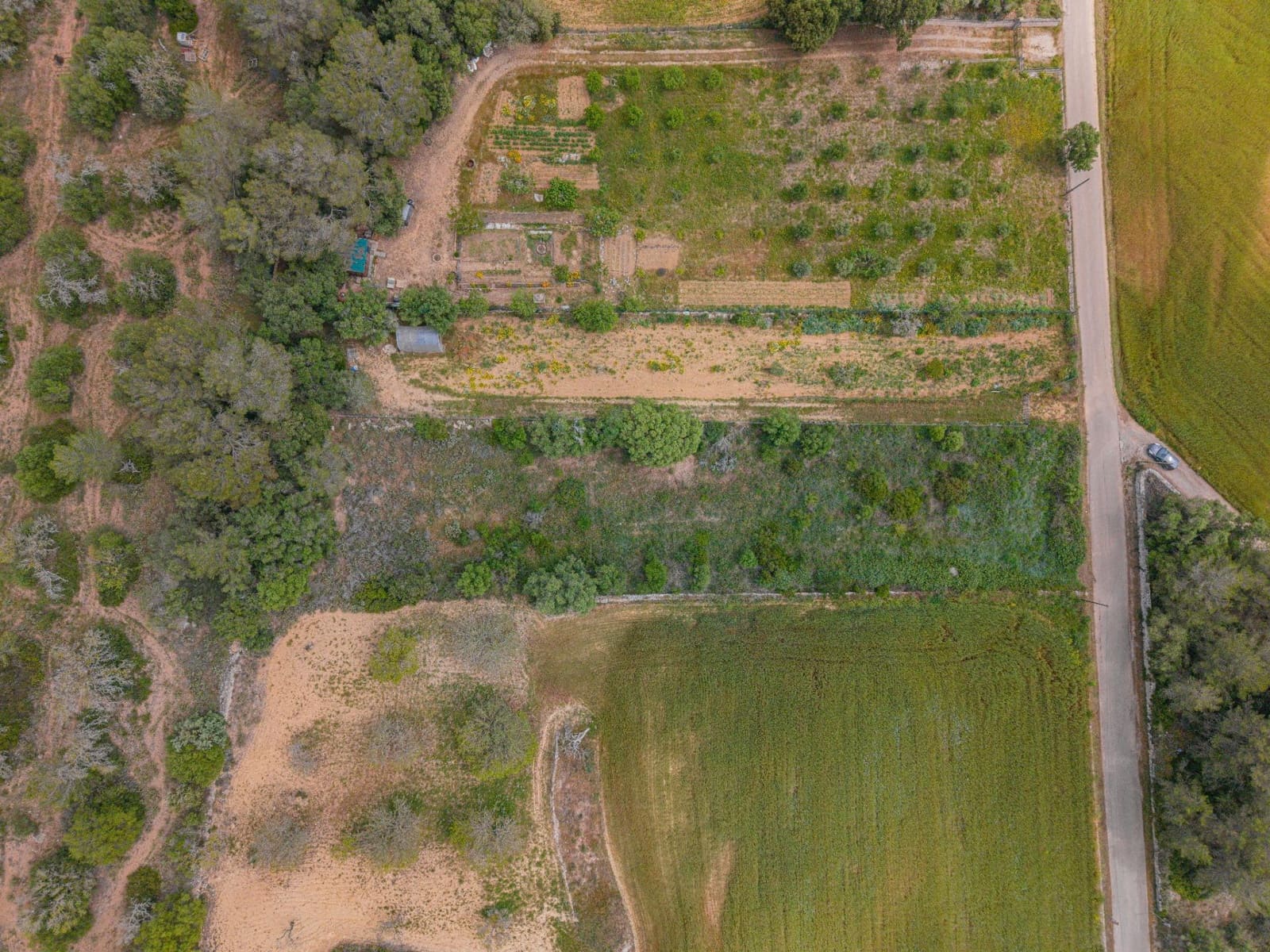Terre non Aménagée à vendre à Algaida - 19 000 € (Ref: 9825287)