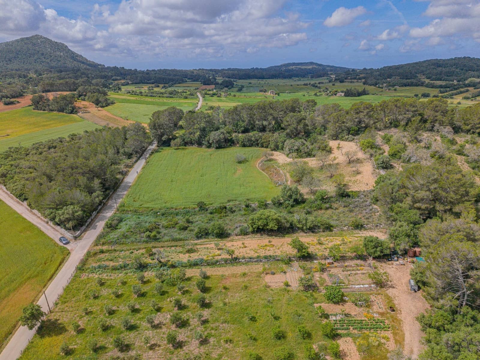 Terre non Aménagée à vendre à Algaida - 19 000 € (Ref: 9825287)