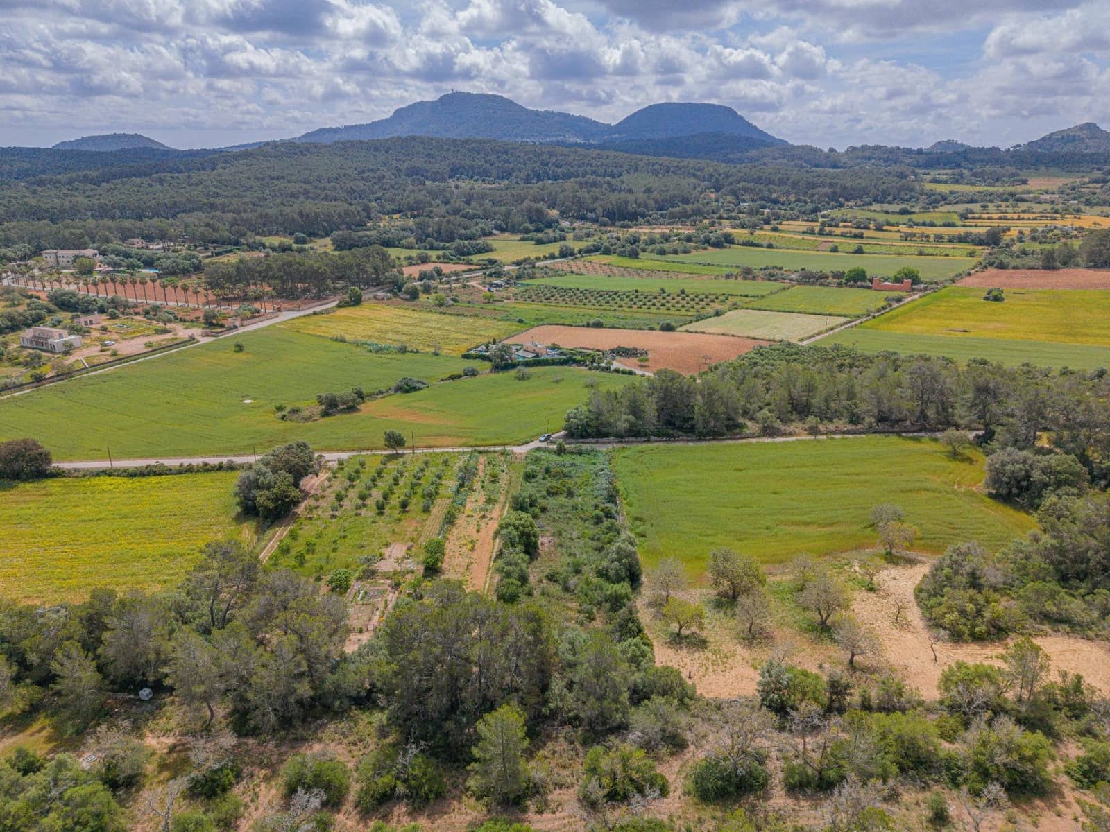 Terre non Aménagée à vendre à Algaida - 19 000 € (Ref: 9825287)