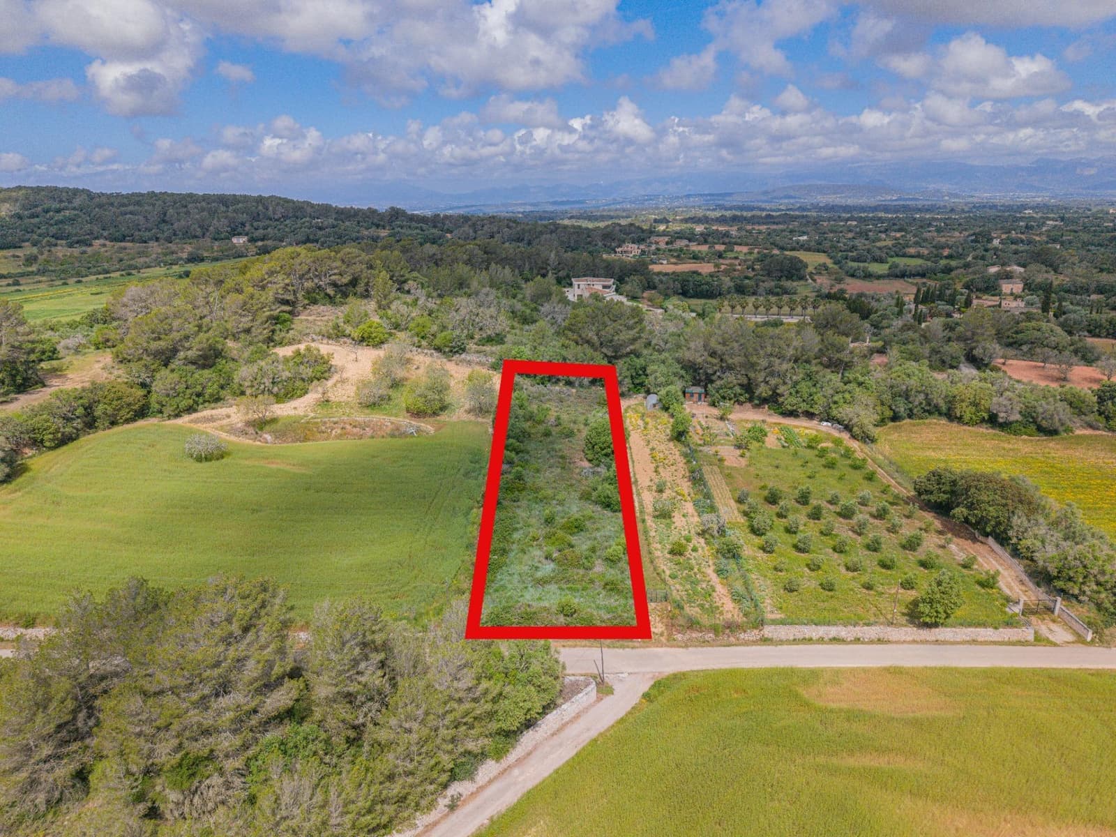 Terre non Aménagée à vendre à Algaida - 19 000 € (Ref: 9825287)