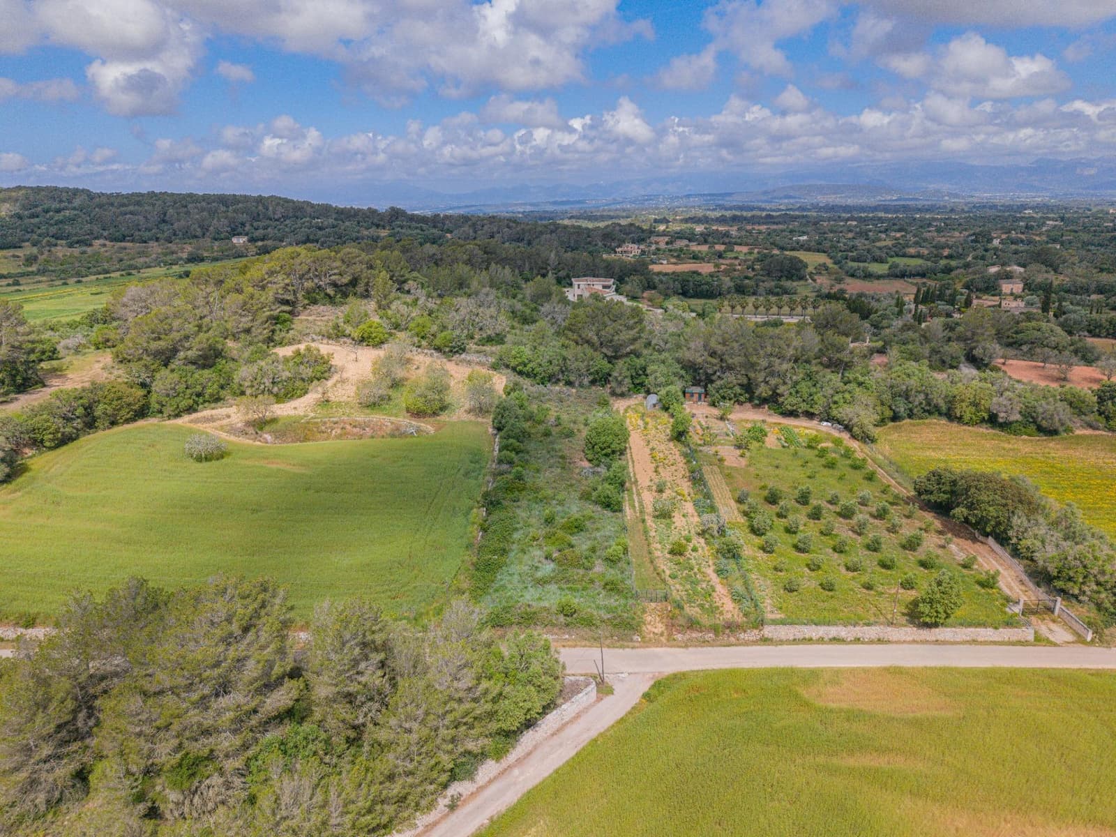 Terre non Aménagée à vendre à Algaida - 19 000 € (Ref: 9825287)