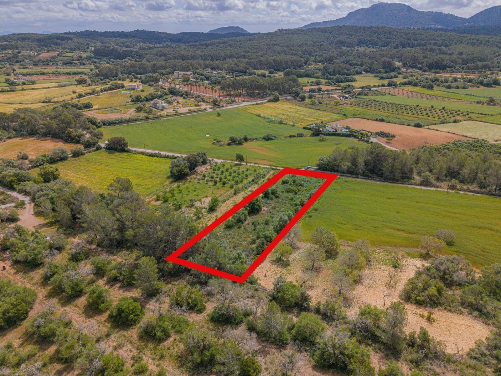 Terre non Aménagée à vendre à Algaida - 19 000 € (Ref: 9825287)