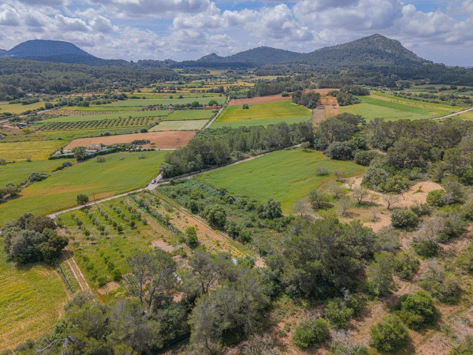 Terre non Aménagée à vendre à Algaida - 19 000 € (Ref: 9825287)