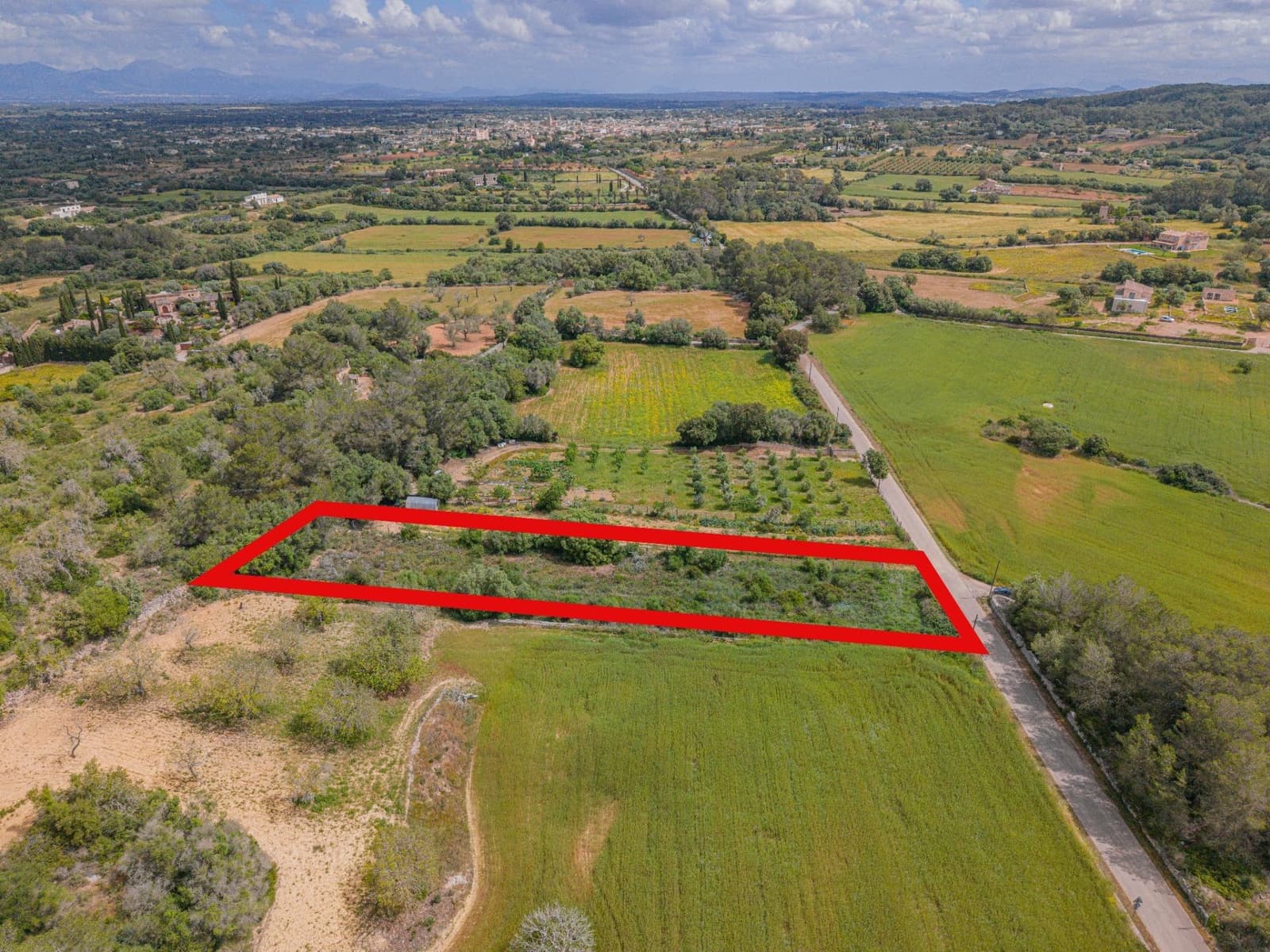 Terre non Aménagée à vendre à Algaida - 19 000 € (Ref: 9825287)