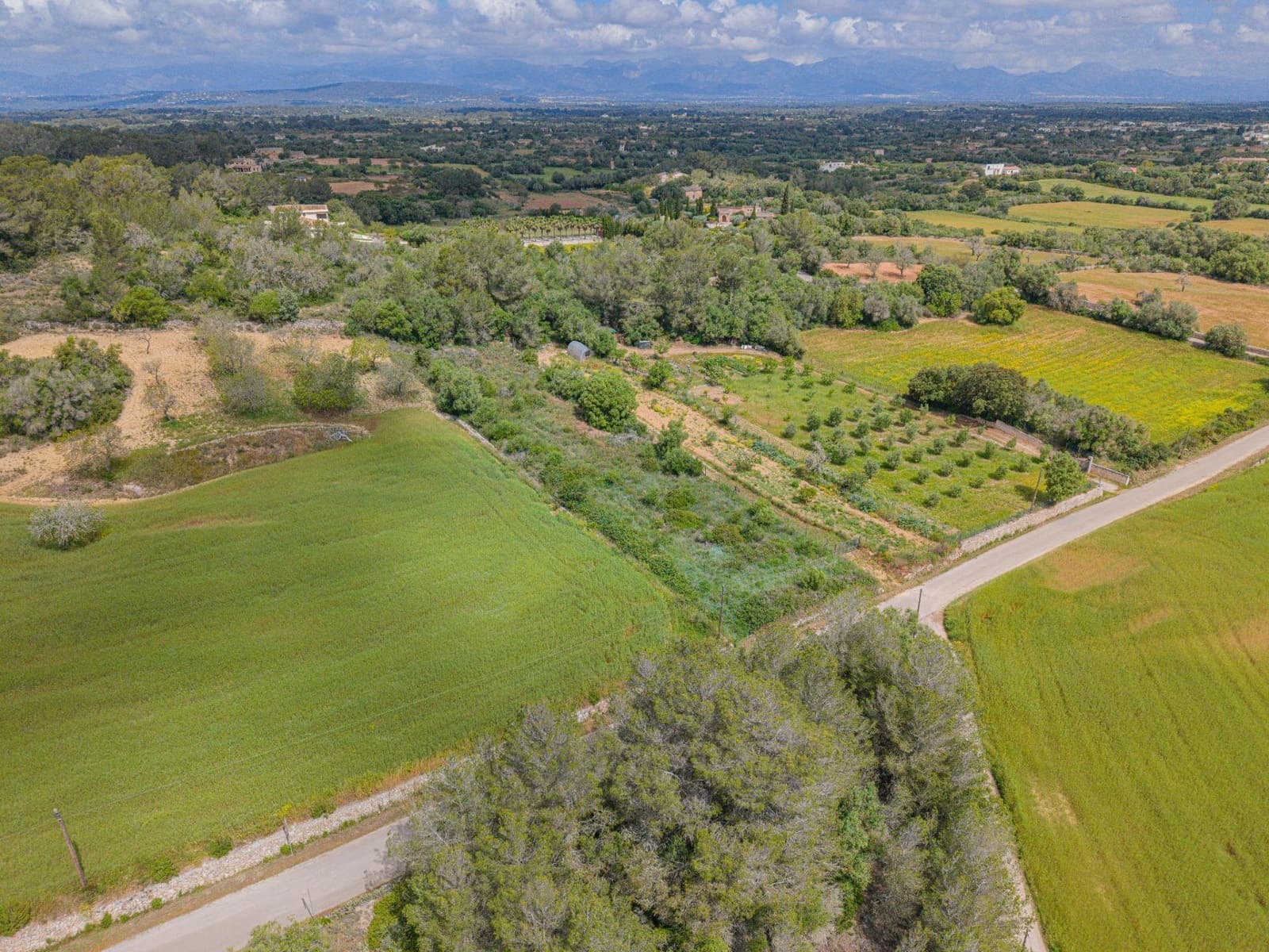 Terre non Aménagée à vendre à Algaida - 19 000 € (Ref: 9825287)