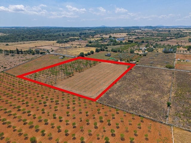 Działka budowlana na sprzedaż w Santa Margalida - 229 000 € (Ref: 9884866)