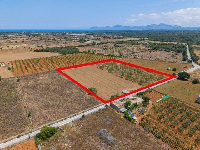 Działka budowlana na sprzedaż w Santa Margalida - 229 000 € (Ref: 9884866)