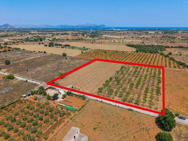 Działka budowlana na sprzedaż w Santa Margalida - 229 000 € (Ref: 9884866)