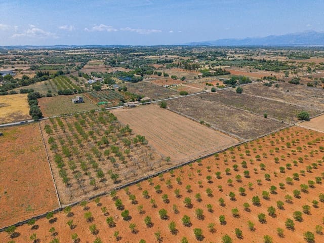 Działka budowlana na sprzedaż w Santa Margalida - 229 000 € (Ref: 9884866)