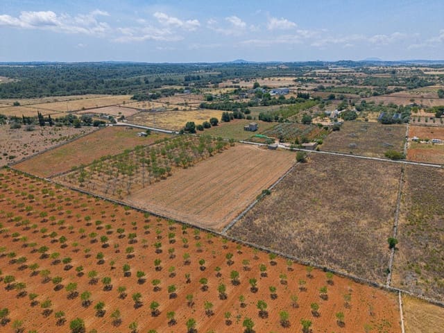Działka budowlana na sprzedaż w Santa Margalida - 229 000 € (Ref: 9884866)