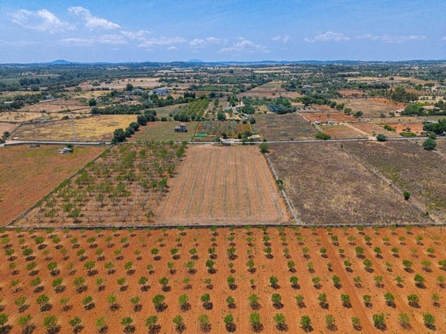 Działka budowlana na sprzedaż w Santa Margalida - 229 000 € (Ref: 9884866)