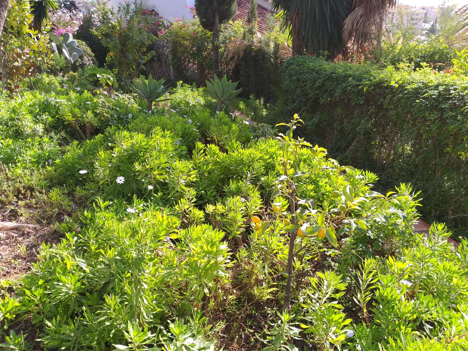 4 soveværelse Byhus til salg i Malaga by - € 1.100.000 (Ref: 8784264)