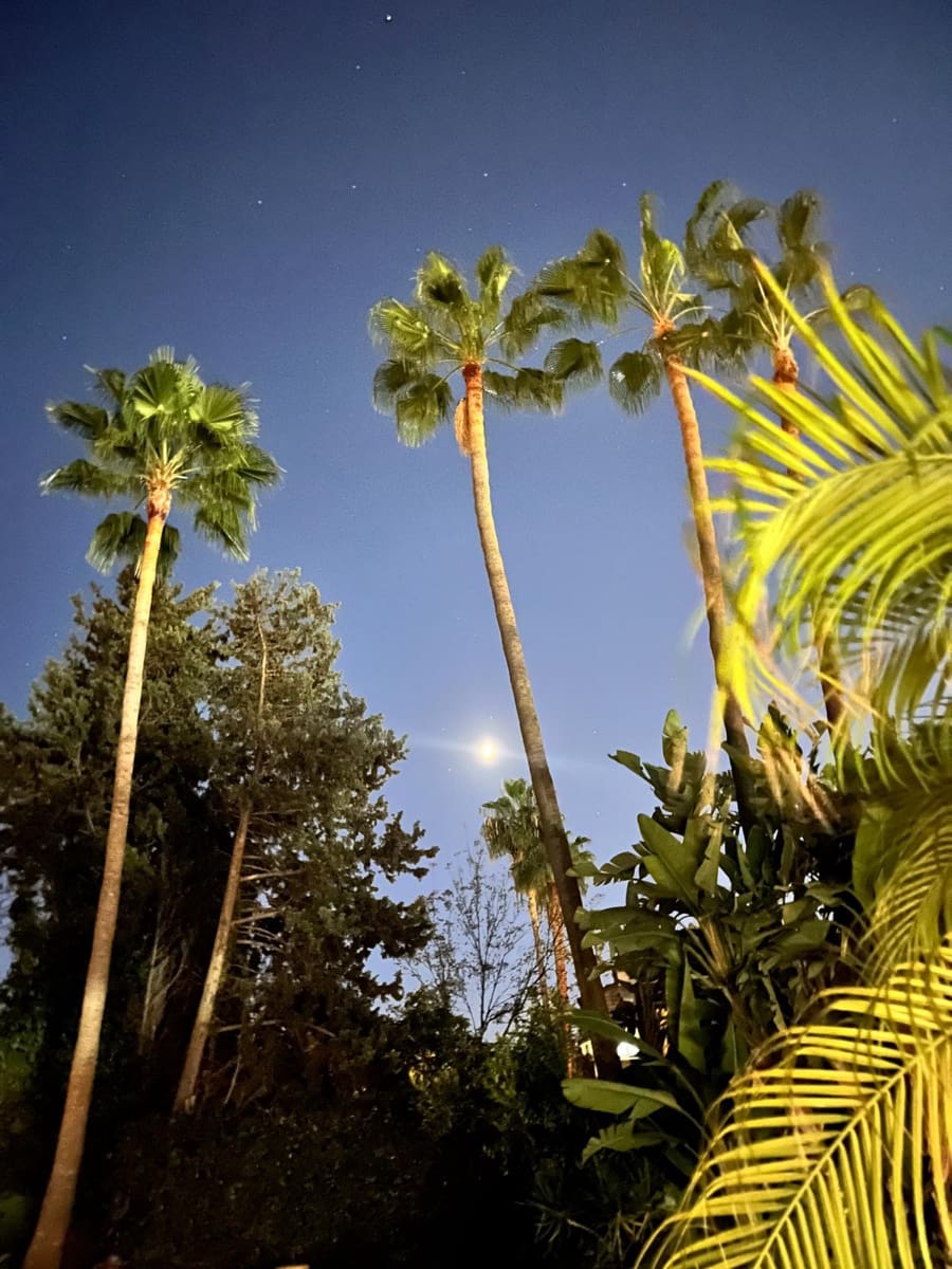 4 quarto Moradia para venda em Malaga cidade - 1 895 000 € (Ref: 9465871)