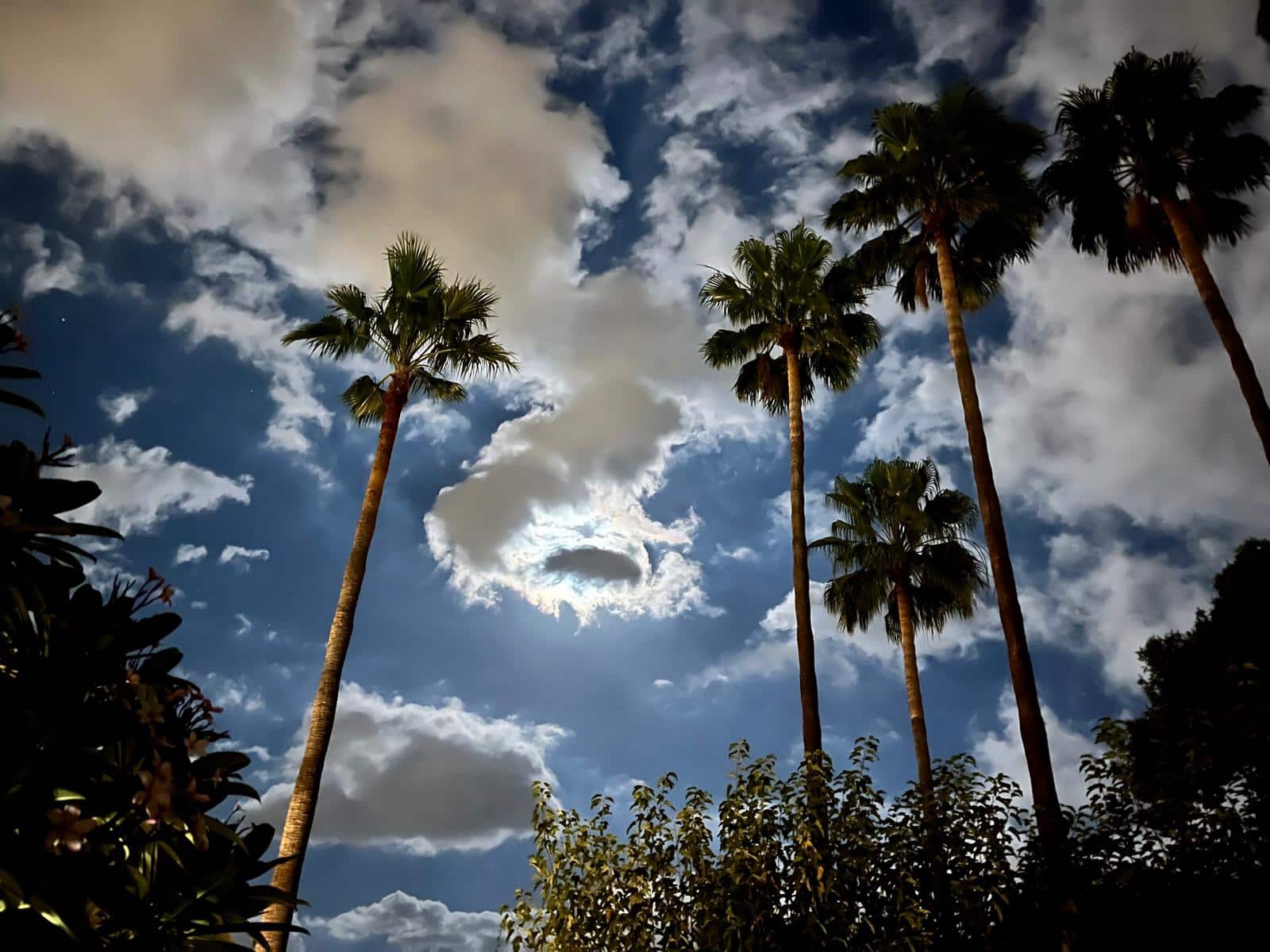 4 quarto Moradia para venda em Malaga cidade - 1 895 000 € (Ref: 9465871)