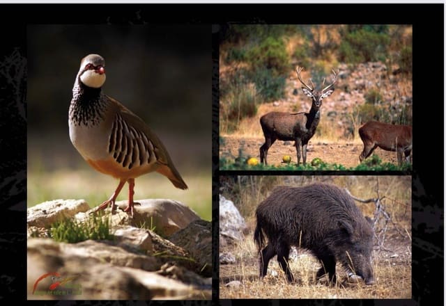 6 camera da letto Finca/Casa di Campagna in vendita in Penàguila con piscina - 10.500.000 € (Rif: 8724757)