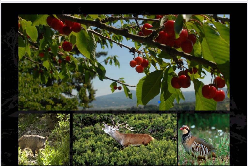 6 bedroom Finca/Country House for sale in Penaguila with pool - € 10,500,000 (Ref: 8724757)