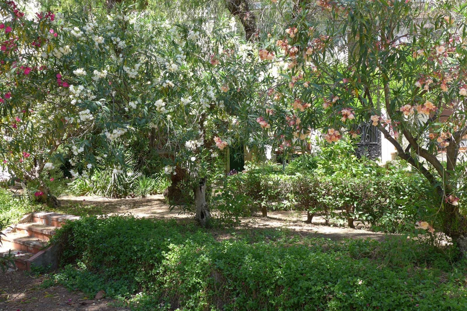 4 soveværelse Byhus til salg i Cocentaina - € 540.000 (Ref: 8815500)