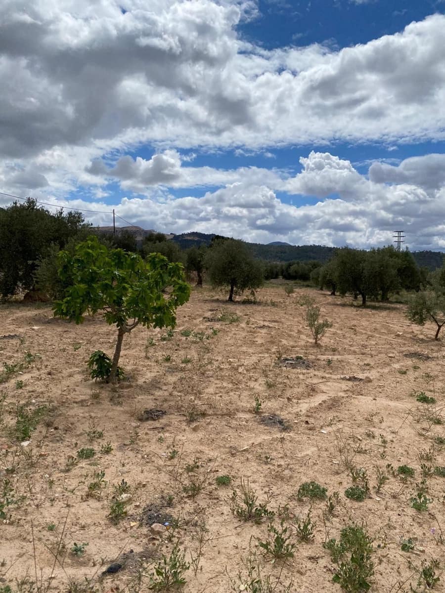 3 slaapkamer Huis te koop in Pinoso - € 85.900 (Ref: 8969966)