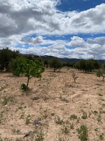 3 slaapkamer Huis te koop in Pinoso - € 85.900 (Ref: 8969966)