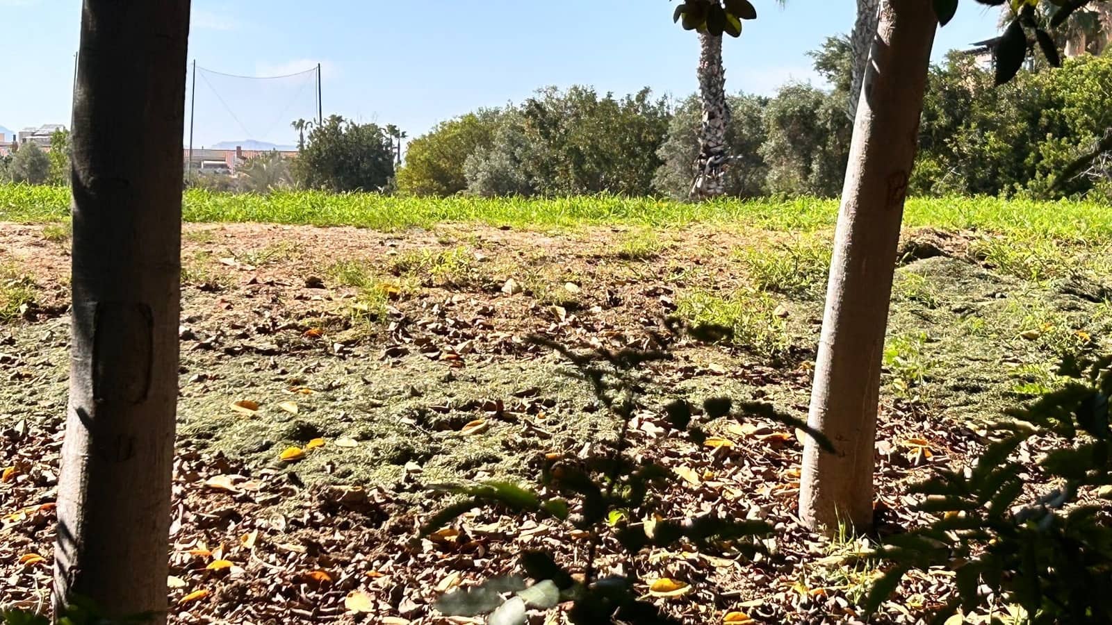 Grunde uden byggetilladelser til salg i San Juan de Alicante / Sant Joan d'Alacant - € 642.000 (Ref: 9098873)