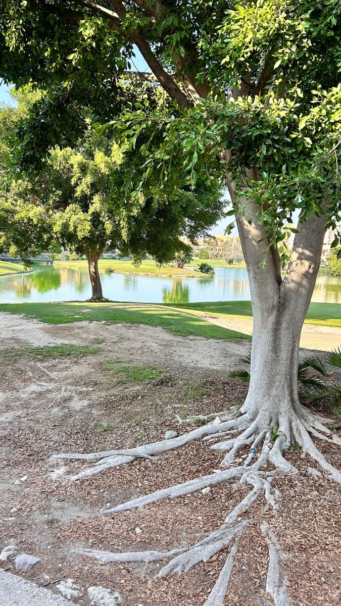 Appartement de 3 chambres à louer à San Juan de Alicante / Sant Joan d'Alacant avec piscine - 1 950 € (Ref: 9111855)