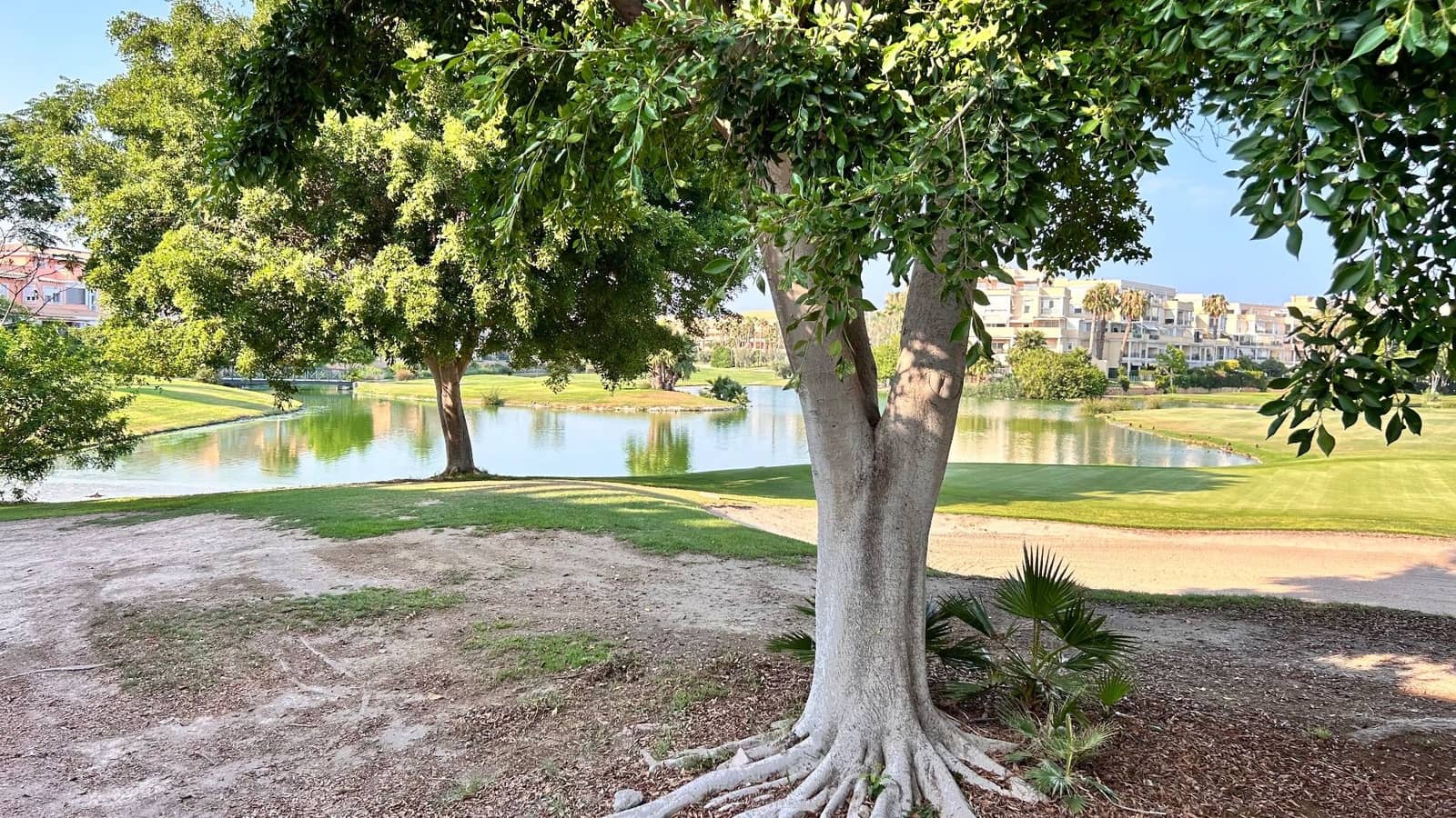 Appartement de 3 chambres à louer à San Juan de Alicante / Sant Joan d'Alacant avec piscine - 1 950 € (Ref: 9111855)