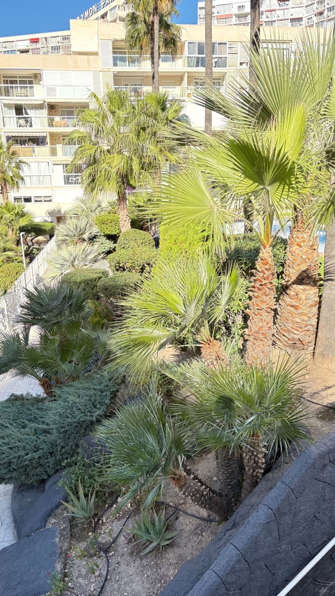 2 soverom Leilighet til salgs i Benidorm med garasje - € 265 000 (Ref: 9400391)