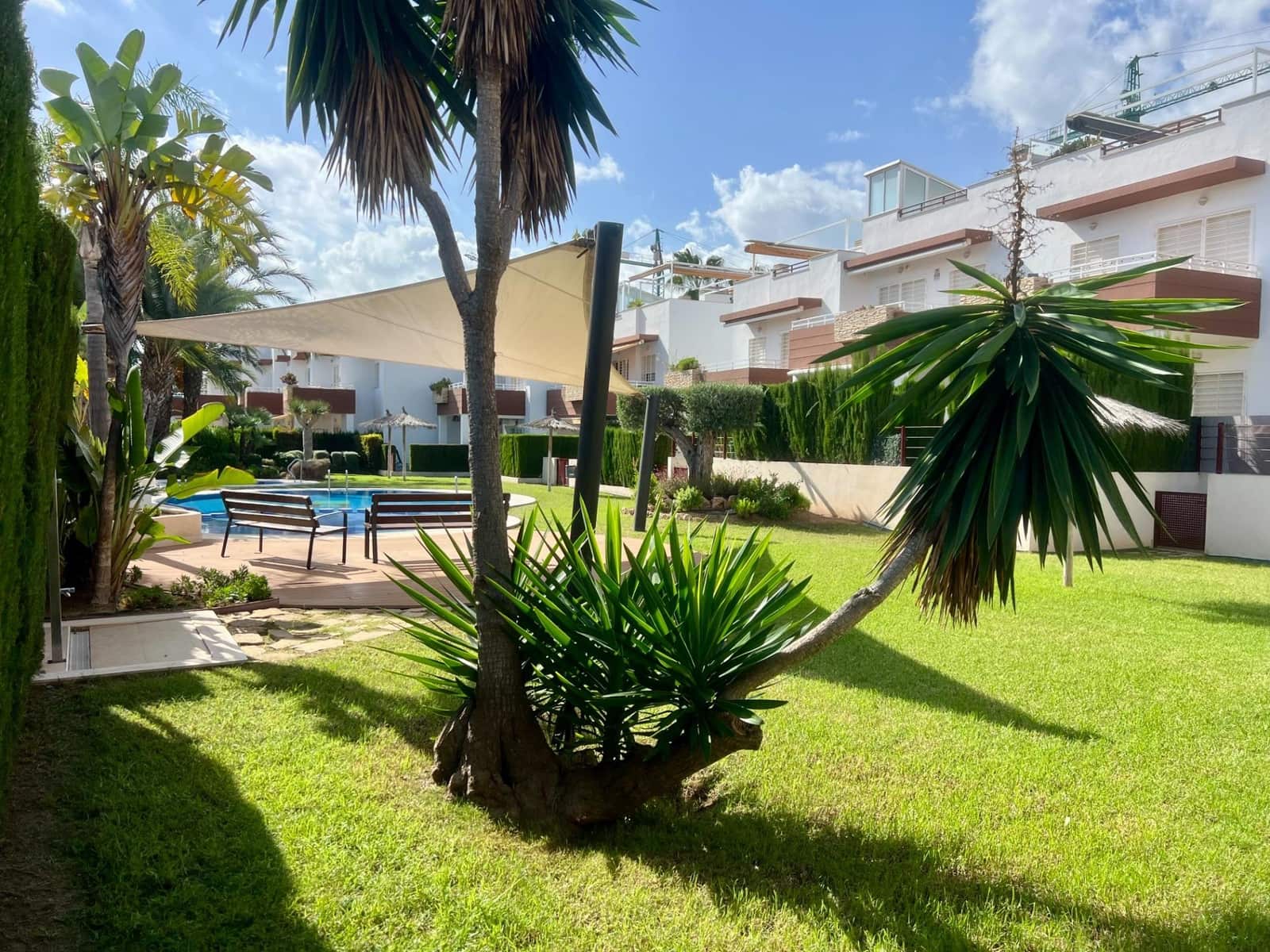 2 slaapkamer Penthouse te koop in Orihuela Costa met zwembad garage - € 228.500 (Ref: 9321990)