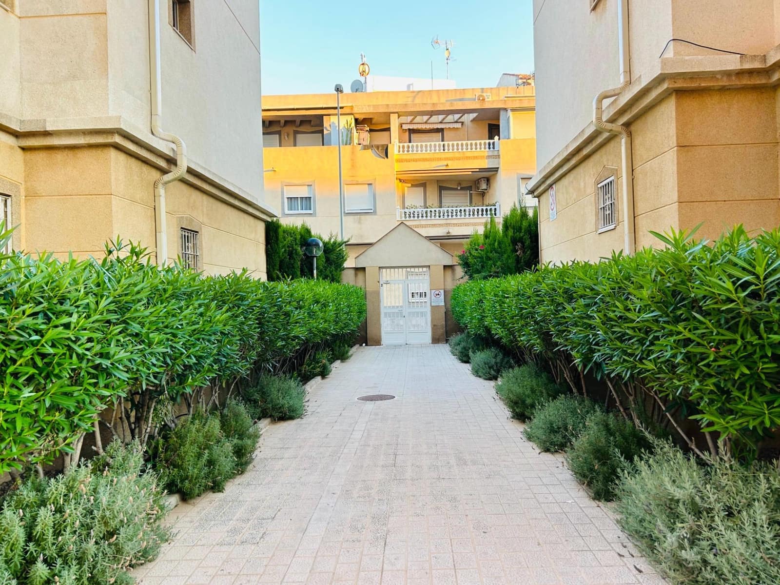 2 soveværelse Lejlighed til salg i Torrevieja med swimmingpool garage - € 138.500 (Ref: 9949887)