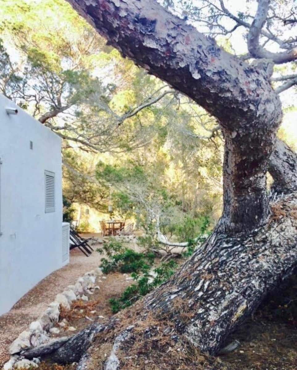 Casa de 3 habitaciones en Formentera municipio en venta con garaje - 2.200.000 € (Ref: 9542125)