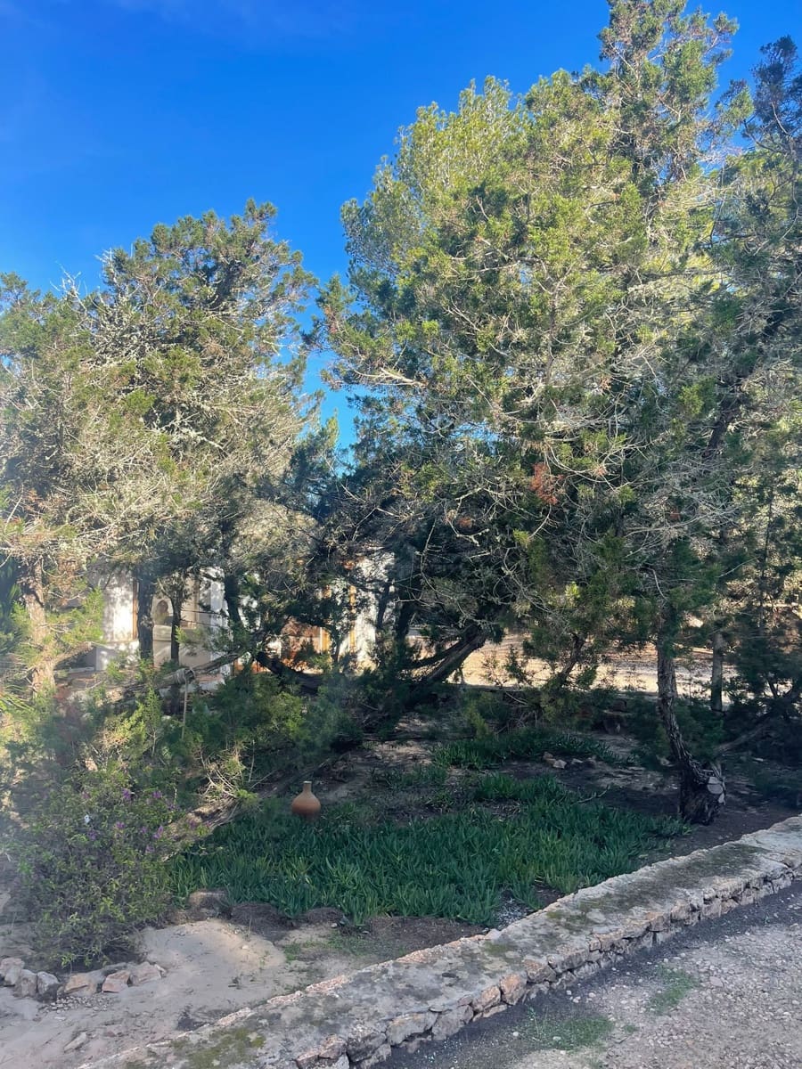 Casa de 3 habitaciones en Formentera municipio en venta con garaje - 2.900.000 € (Ref: 9542266)