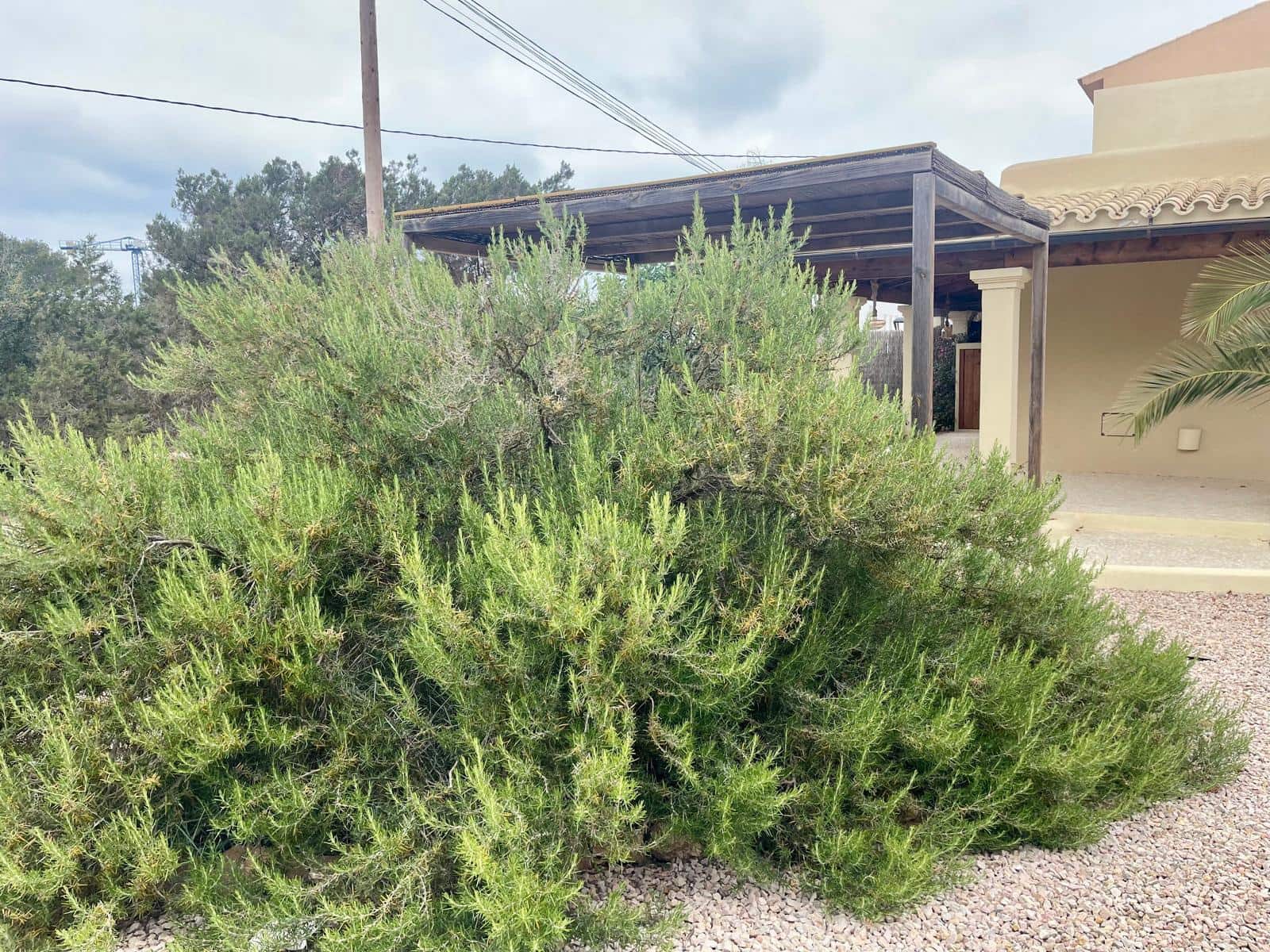 Chalet de 2 habitaciones en Es Pujols en venta con garaje - 1.180.000 € (Ref: 9563894)