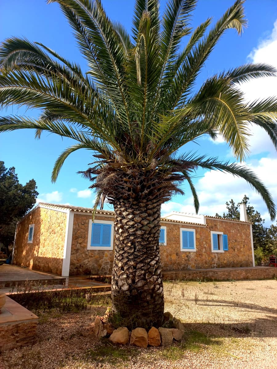 Finca/Casa Rural de 4 habitaciones en Formentera municipio en venta con garaje - 1.800.000 € (Ref: 9564037)