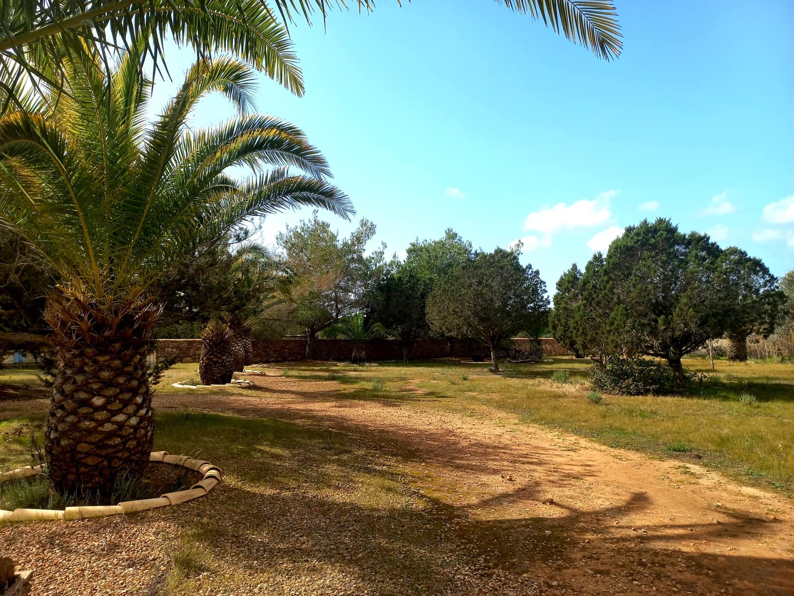 Finca/Casa Rural de 4 habitaciones en Formentera municipio en venta con garaje - 1.800.000 € (Ref: 9564037)