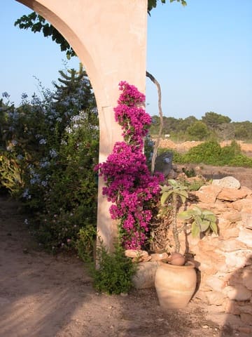 2 sypialnia Willa na sprzedaż w Gmina Formentera z garażem - 1 250 000 € (Ref: 9565775)