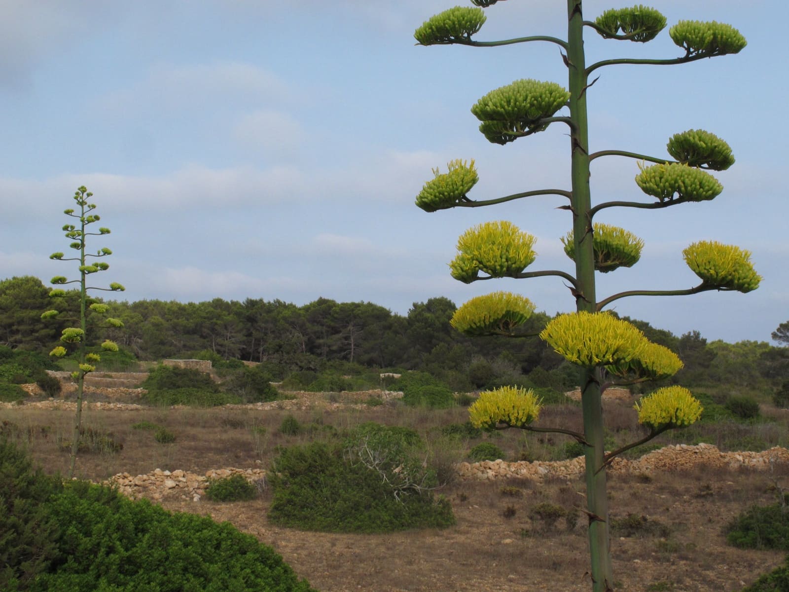 2 sypialnia Willa na sprzedaż w Gmina Formentera  z garażem - 1 250 000 € (Ref: 9565775)