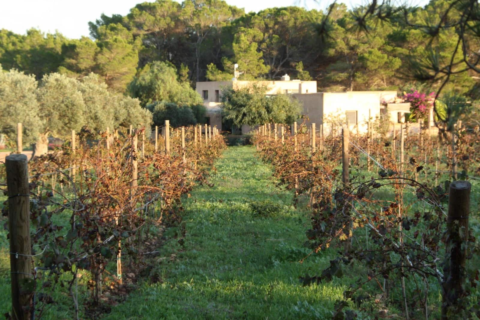 5 soverom Villa til salgs i Formentera kommune med svømmebasseng garasje - € 4 900 000 (Ref: 9566703)