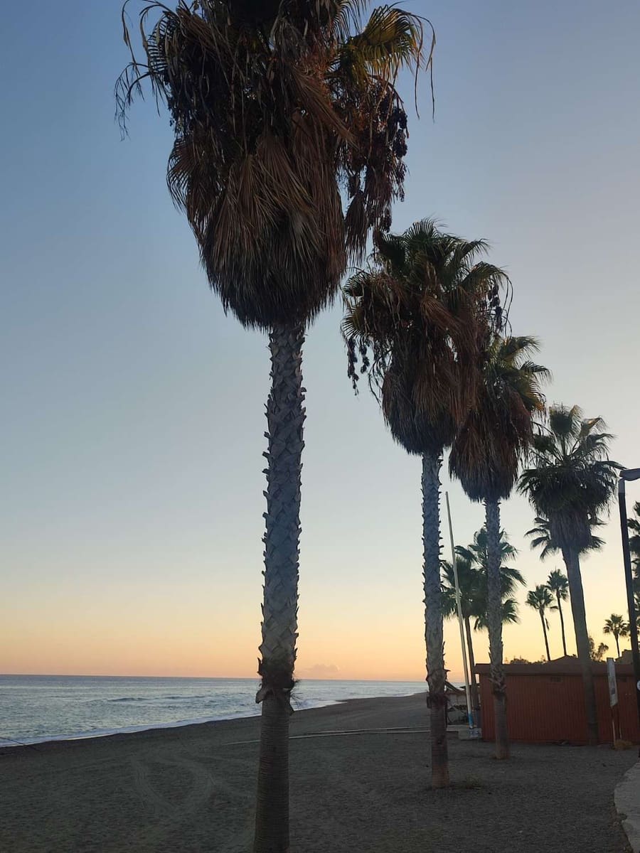 2 soveværelse Strandlejlighed til salg i Bahia de Casares med swimmingpool - € 750.000 (Ref: 10045520)