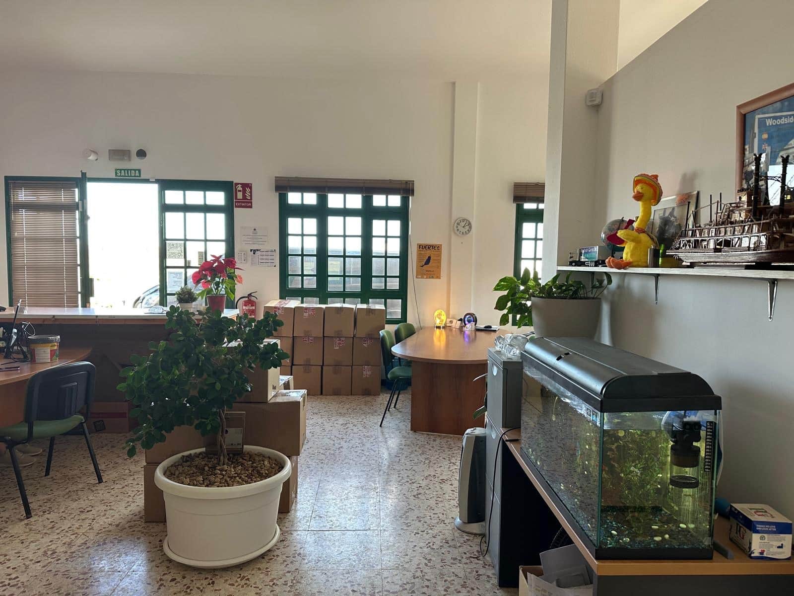 Business for sale in El Matorral - € 100,000 (Ref: 9703311)