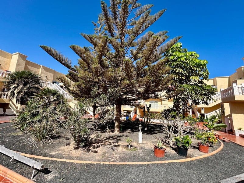 2 bedroom Apartment for sale in Caleta de Fuste with pool garage - € 215,000 (Ref: 9839677)