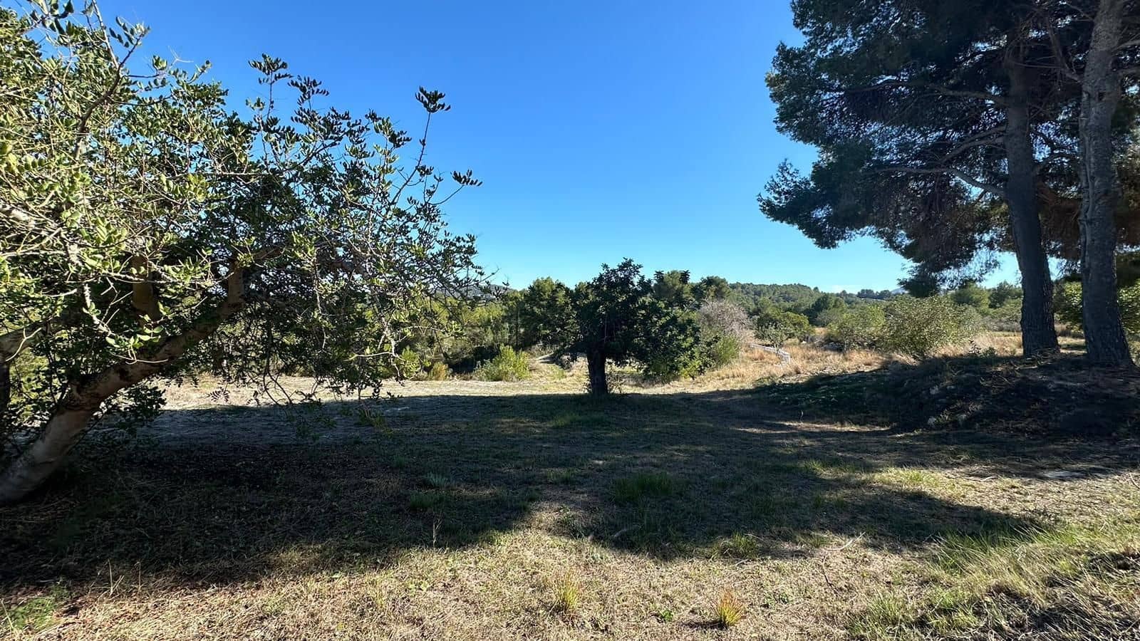 5 chambre Finca/Maison de Campagne à vendre à Javea / Xabia avec piscine garage - 1 550 000 € (Ref: 9974656)