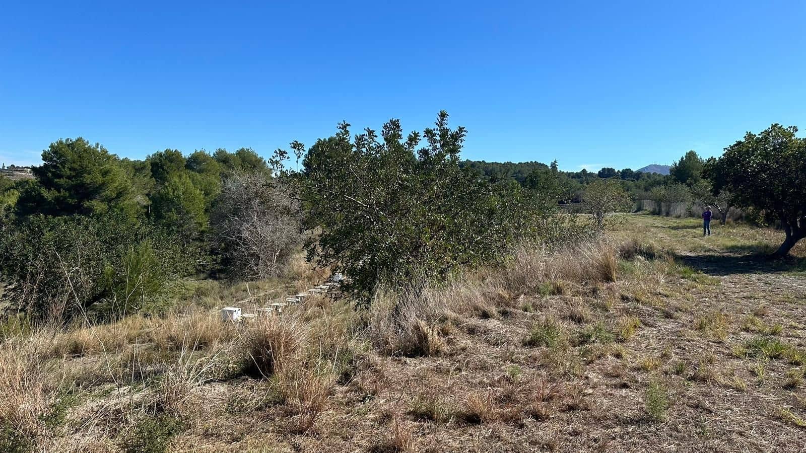 5 chambre Finca/Maison de Campagne à vendre à Javea / Xabia avec piscine garage - 1 550 000 € (Ref: 9974656)